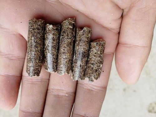 【河南信陽(yáng)生物質(zhì)秸稈壓塊燃料-新鄉(xiāng)報(bào)價(jià)】- 