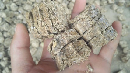 邯鄲生物質(zhì)燃料多少錢一噸