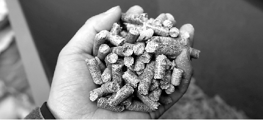 甲魚村的鱉司令,帶頭求變