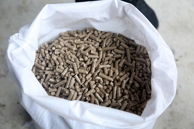 變廢為寶 延吉市三峰村生物質(zhì)顆粒燃料項(xiàng)目正式投產(chǎn)
