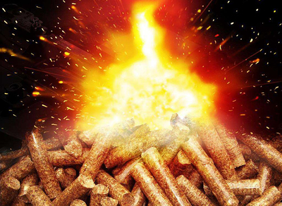 聚焦兩會|2020,生物質顆粒燃料行業的生存前景