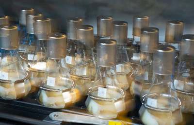 科技資訊 | 四川生物燃料顆粒是替代能源新藍海?