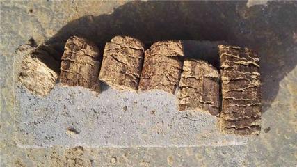 環保局規定能使用花生殼生物質壓塊燃料嗎