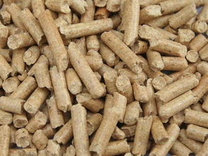 東莞市宏然生物科技動態