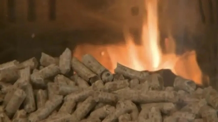 麥子已經豐收了,秸稈生物質顆粒代煤已成新出路