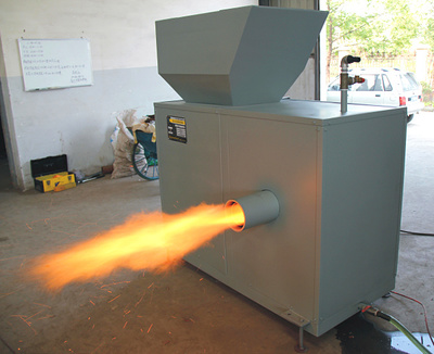 生物質燃料 可持續能源的未來之路