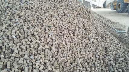 生物質燃料概述