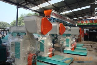 四川生物質顆粒建廠指南 木屑顆粒原料與生產設備全解析